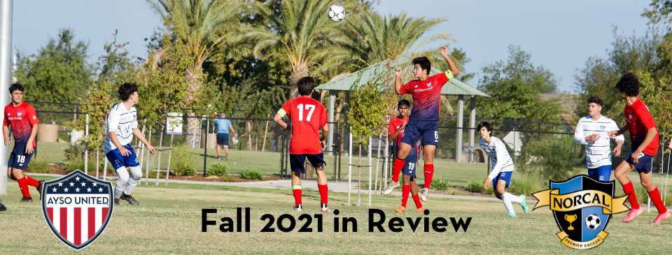 Fall 2021 Review