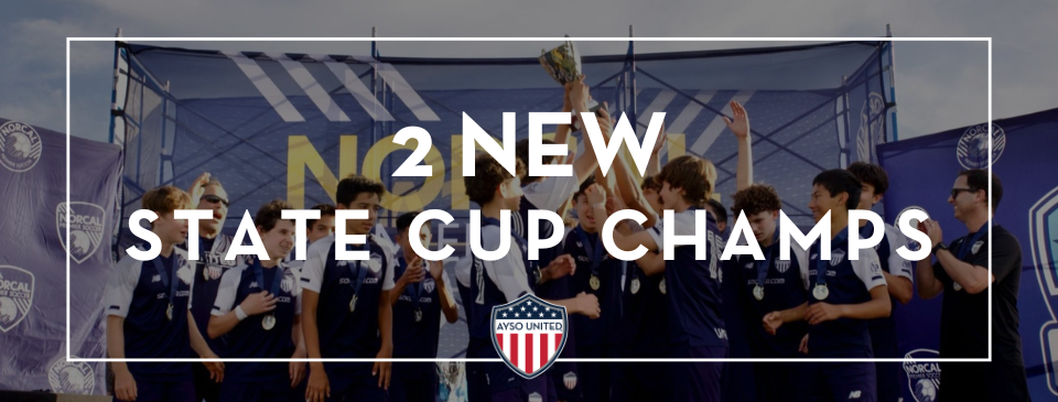 2 New Champions